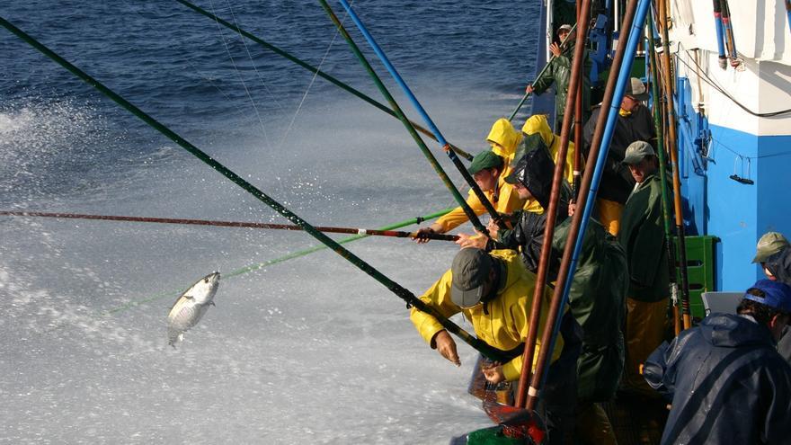 Vanoostende dice que el acuerdo de pesca de la UE con Senegal permitirá a dos buques canarios mantener su actividad.