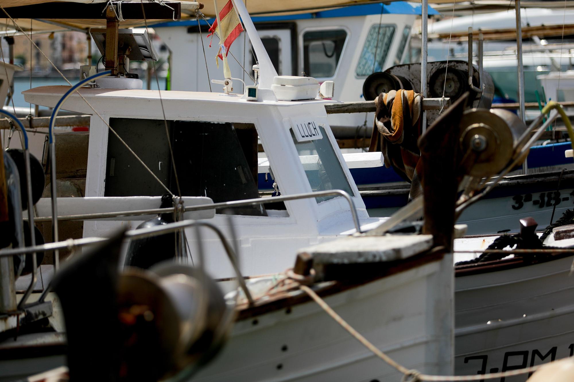 Galería: La única pescadora en la cofradía de pescadores de Ibiza