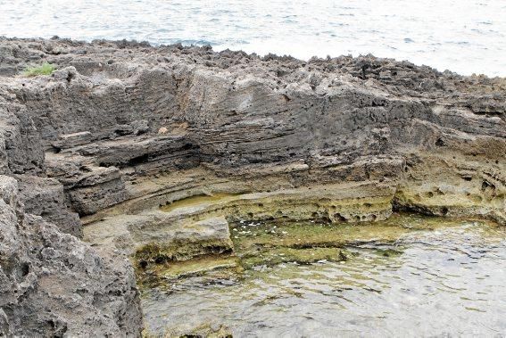 Auf Na Galera bei Can Pastilla haben Archäologen auf eigene Faust bis zu 4.500 Jahre alte Überreste ausgegraben. Im Sommer bieten sie jeden Donnerstag Führungen an.