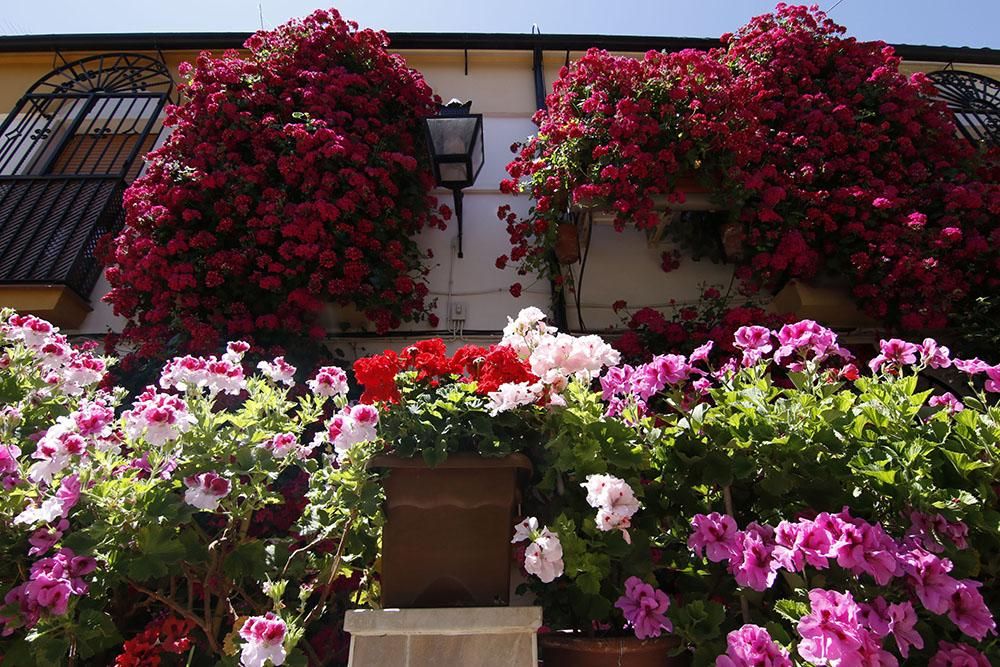 Premios rejas y balcones