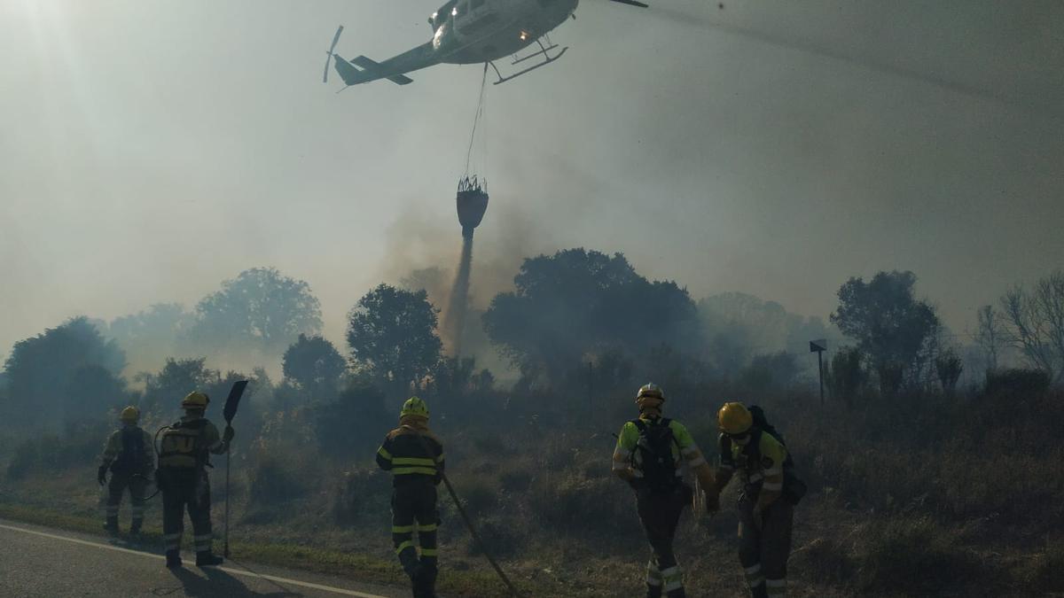 Labores de extinción del incendio de Moralina de Sayago.