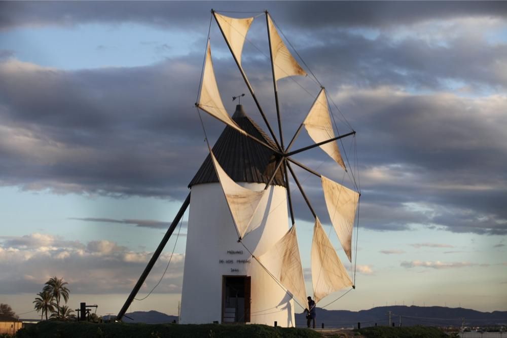 Molinos en Peligro de Extinción