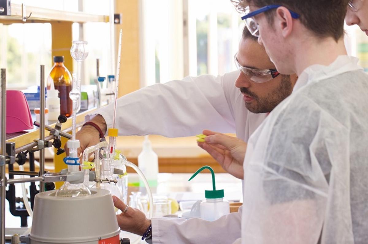 Investigadores de la Universidad de Alicante