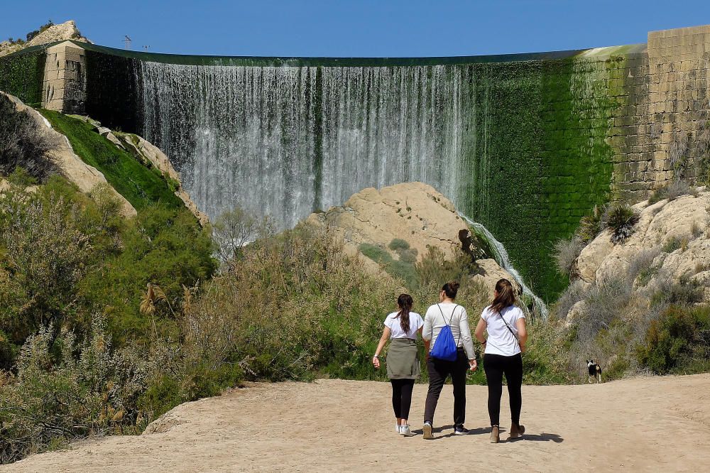 Visita institucional al Pantano de Elche