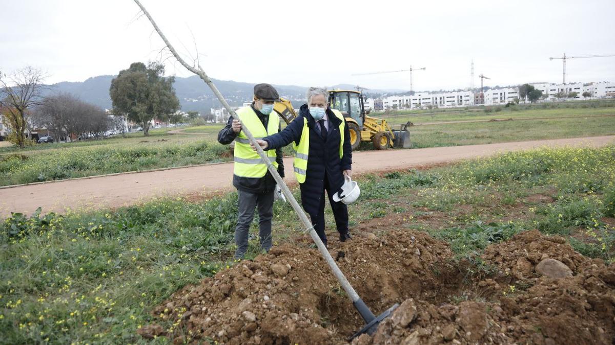 El gerente de Urbanismo, Luis Valdelomar, y el presidente del organismo municipal, Salvador Fuentes, plantan un árbol en el Parque del Flamenco.