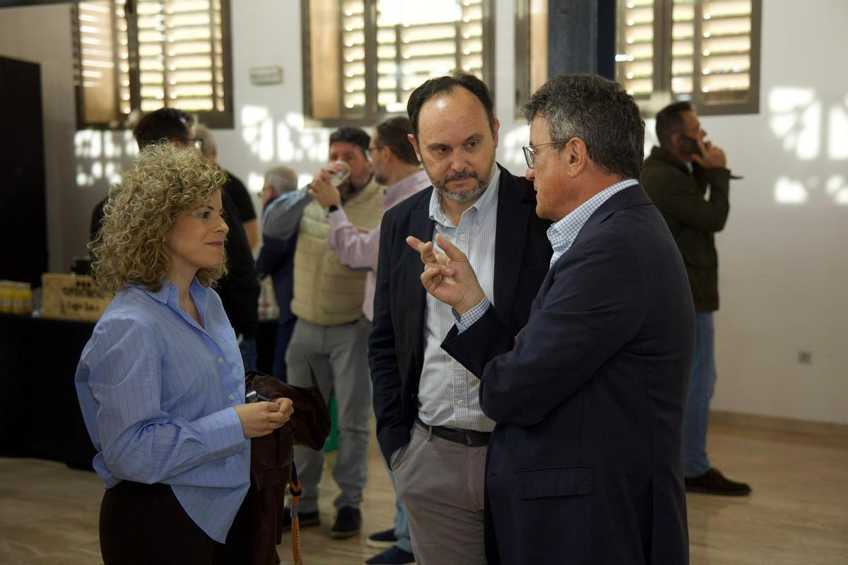 La jornada «Proyectando Vega Baja» pone sobre la mesa los grandes retos de la comarca