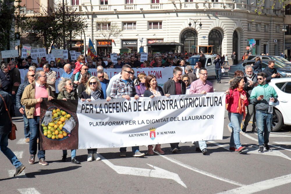 Manifestación en defensa del sector citrícola