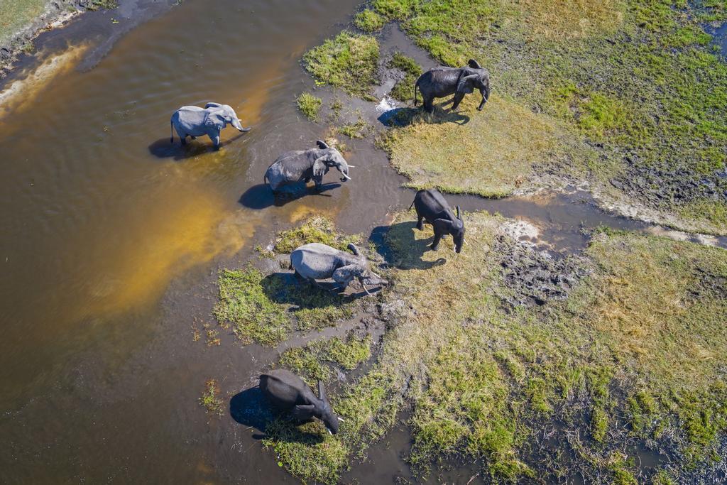 Vista aérea del delta del Okavango