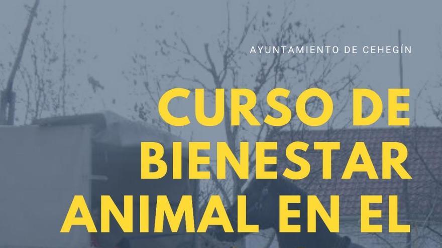 Cehegín acoge un curso sobre el transporte de animales