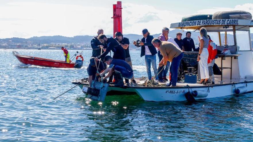 Río Ulla, donde la calidad del agua se mira con lupa