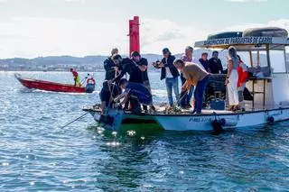 Río Ulla, donde la calidad del agua se mira con lupa