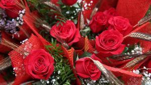 Les roses seran un 2% més cares aquest Sant Jordi per la pujada del preu del combustible dels avions
