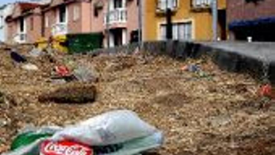 La asociación vecinal pide limpieza diaria en la zona del Berrocal