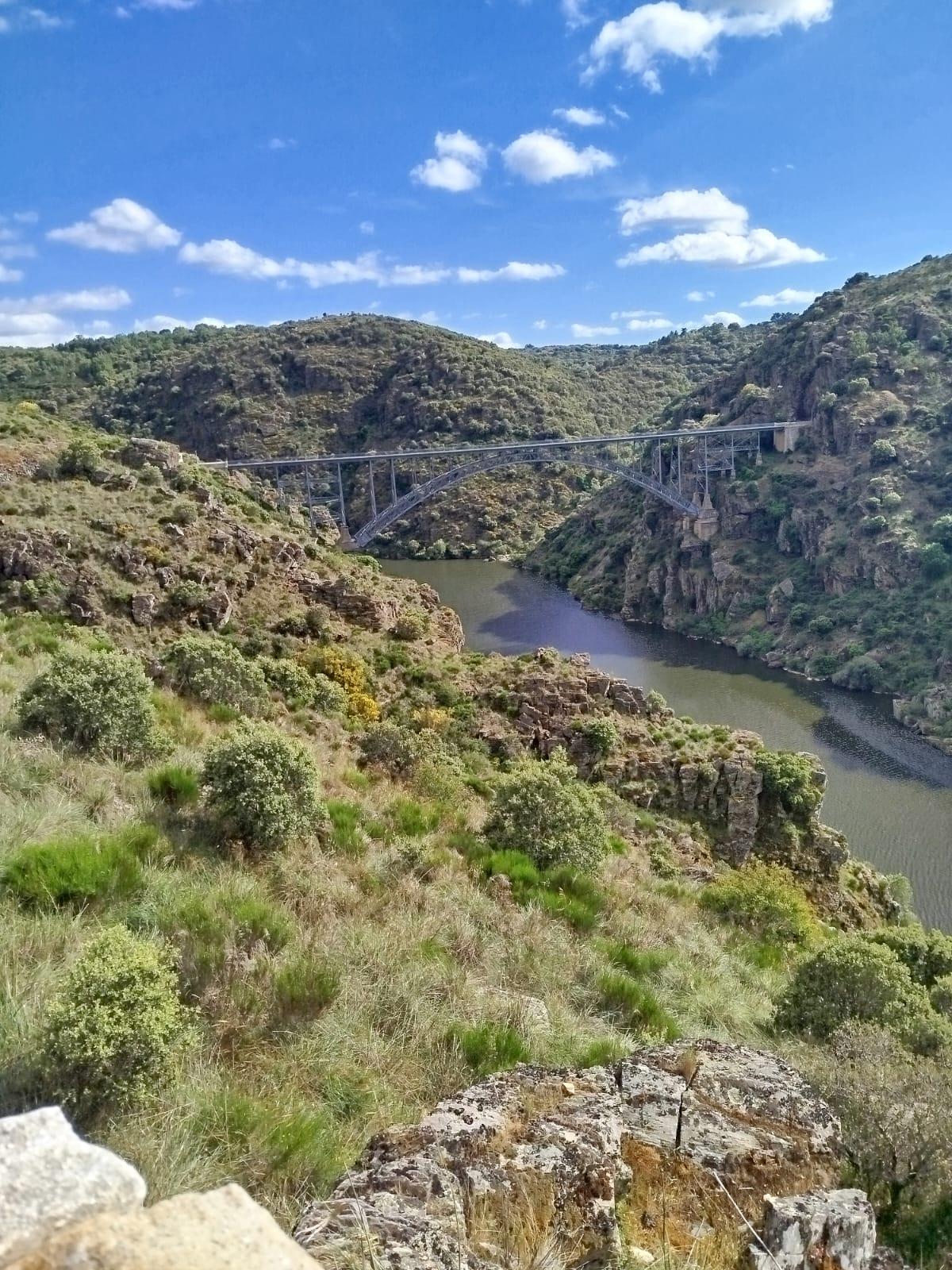 Imagen de la carretera del "Puente Pino"