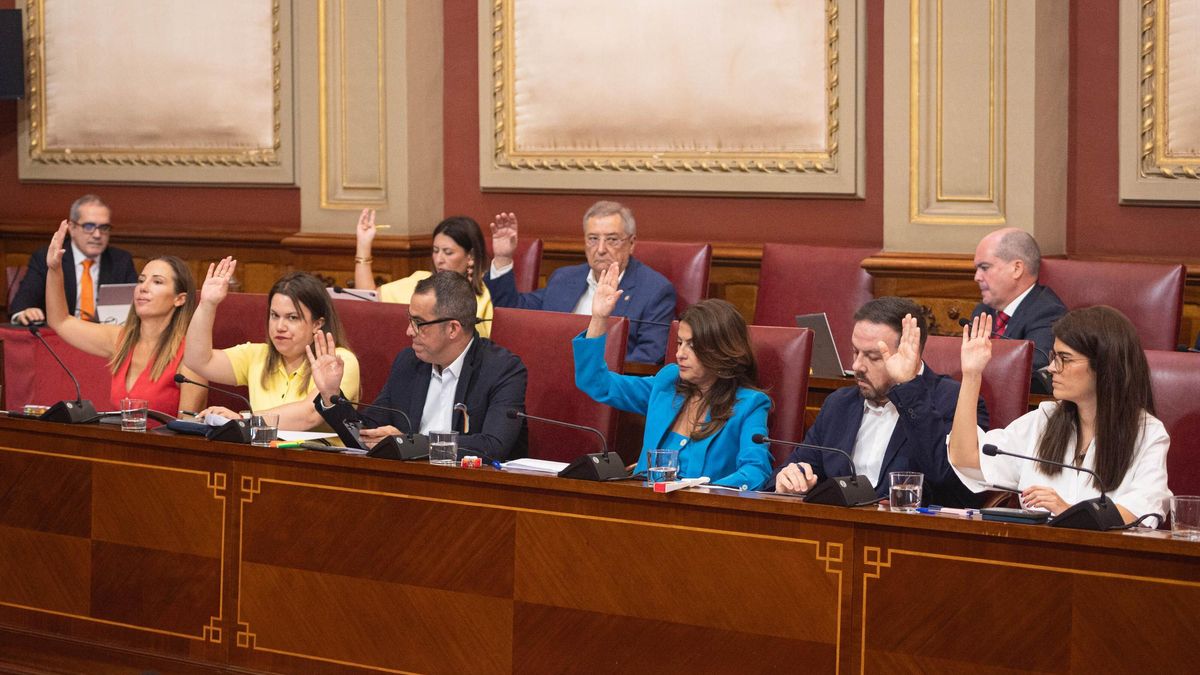 Grupo municipal socialista, en el pleno del Ayuntamiento de Santa Cruz.