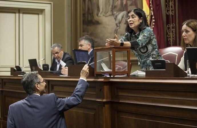 Pleno del Parlamento de Canarias (29/11/17)