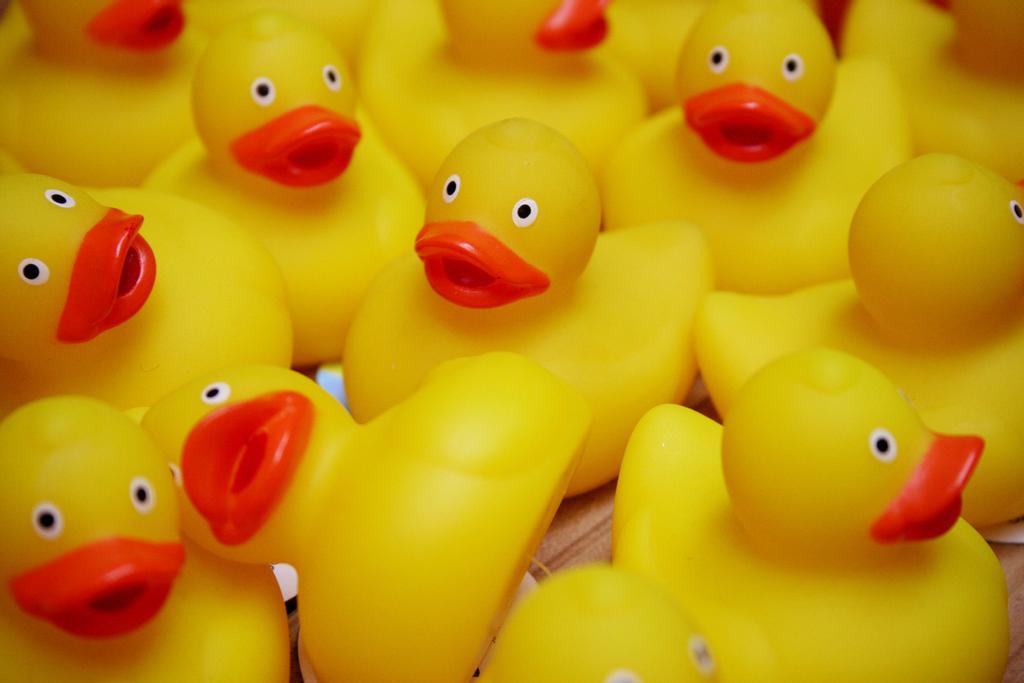 El patito de goma se eleva a objeto de culto, gracias a la propuesta de Leo Bassi.