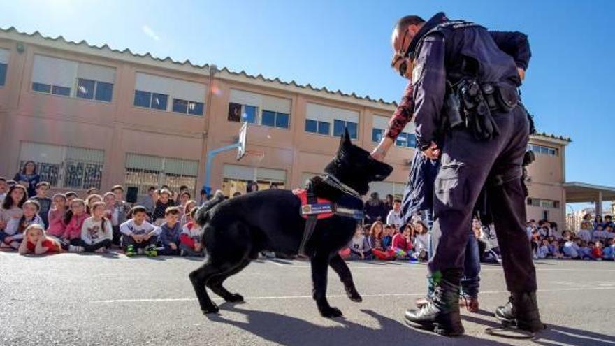 Un agente canino de la Policía Local en una exhibición.