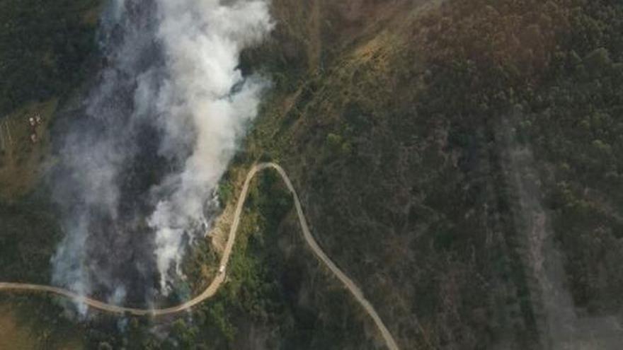 El foc de Bellver de Cerdanya hauria afectat set hectàrees de massa forestal