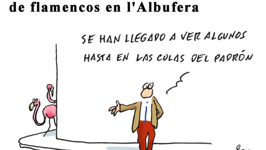 Incertidumbre con la nidificación de flamencos en l&#039;Albufera