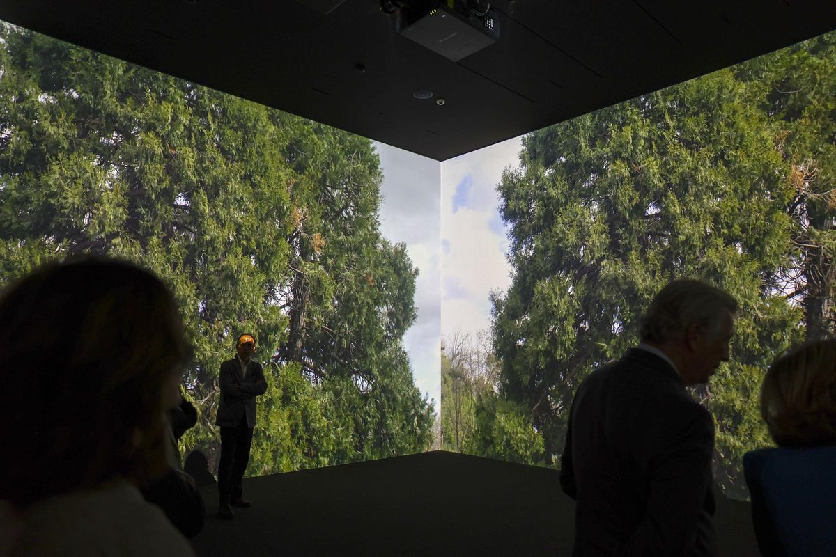 La pieza audiovisual en el Cubo Inmersivo de la Galería de las Colecciones Reales.