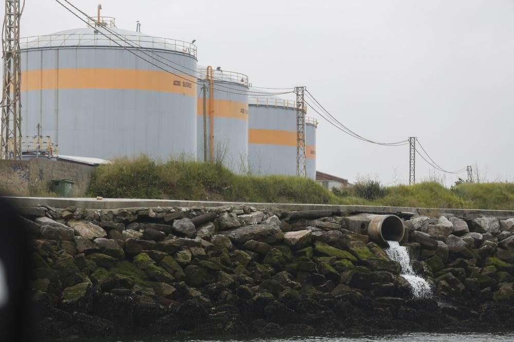 Ecologistas en Acción en la ría de Avilés