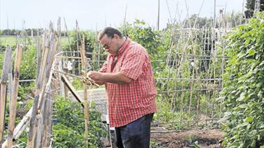 Vinaròs amplía el periodo para solicitar los  huertos sociales