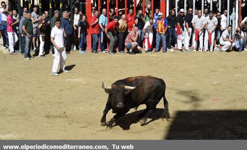 Galería de fotos -- Dos heridos por asta de toro en la penúltima jornada taurina