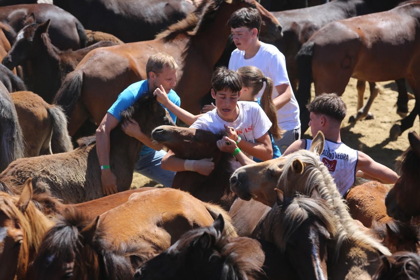 Las imágenes de la jornada de domingo de la Rapa das Bestas