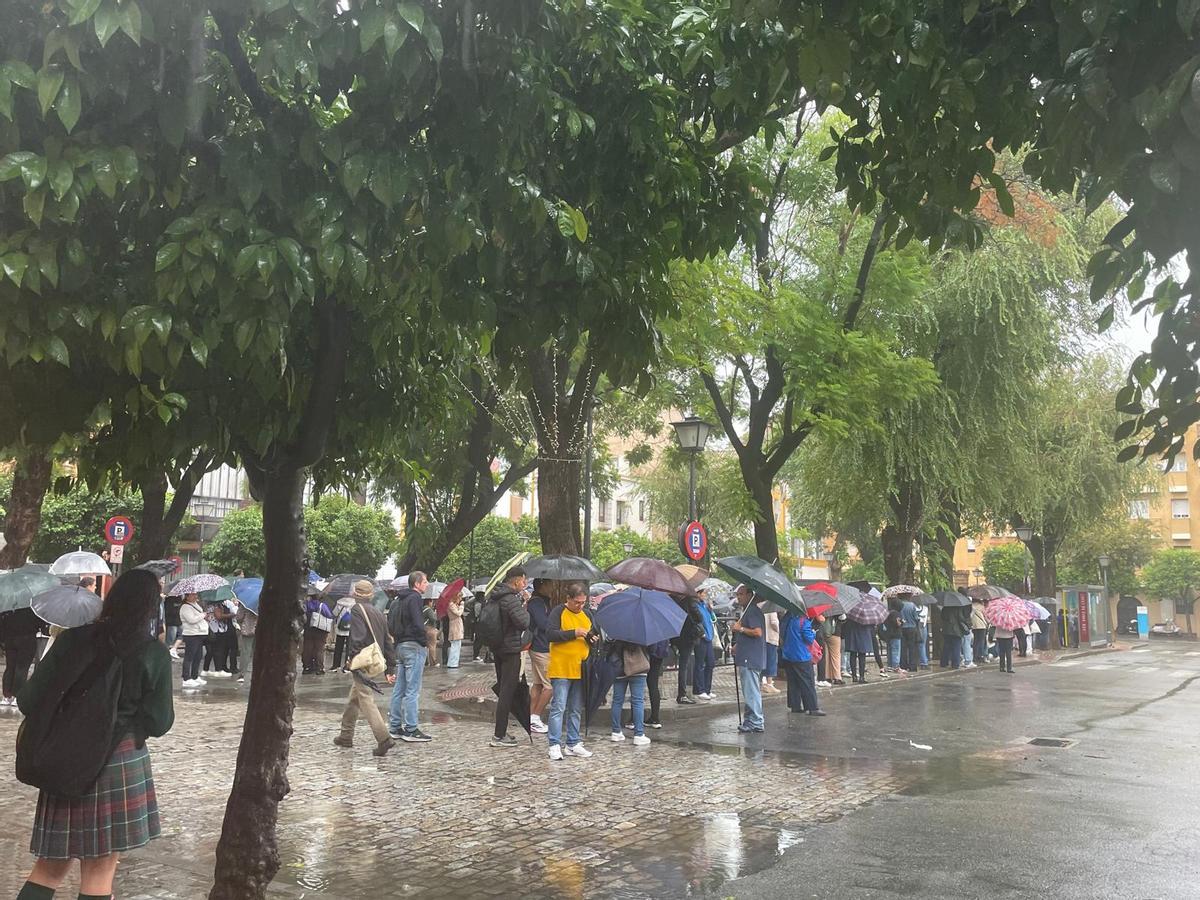 Las paradas de Tussam en Ponce de León se encuentran abarrotadas de pasajeros por la lluvia.