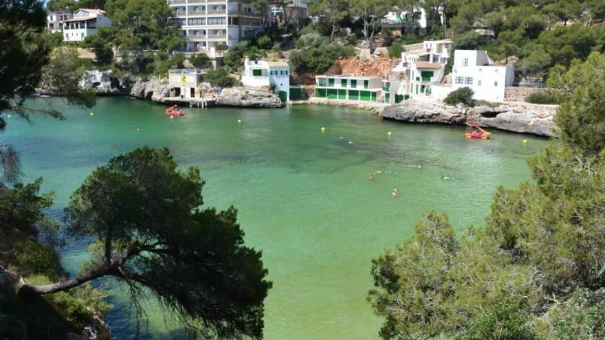 Imagen del agua que ya está empezando a amarillear.