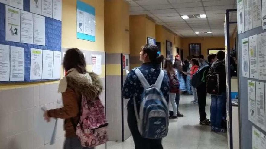 Alumnos observan una exposición en el instituto Pedro Floriani de Redondela. // Bibliofloriani