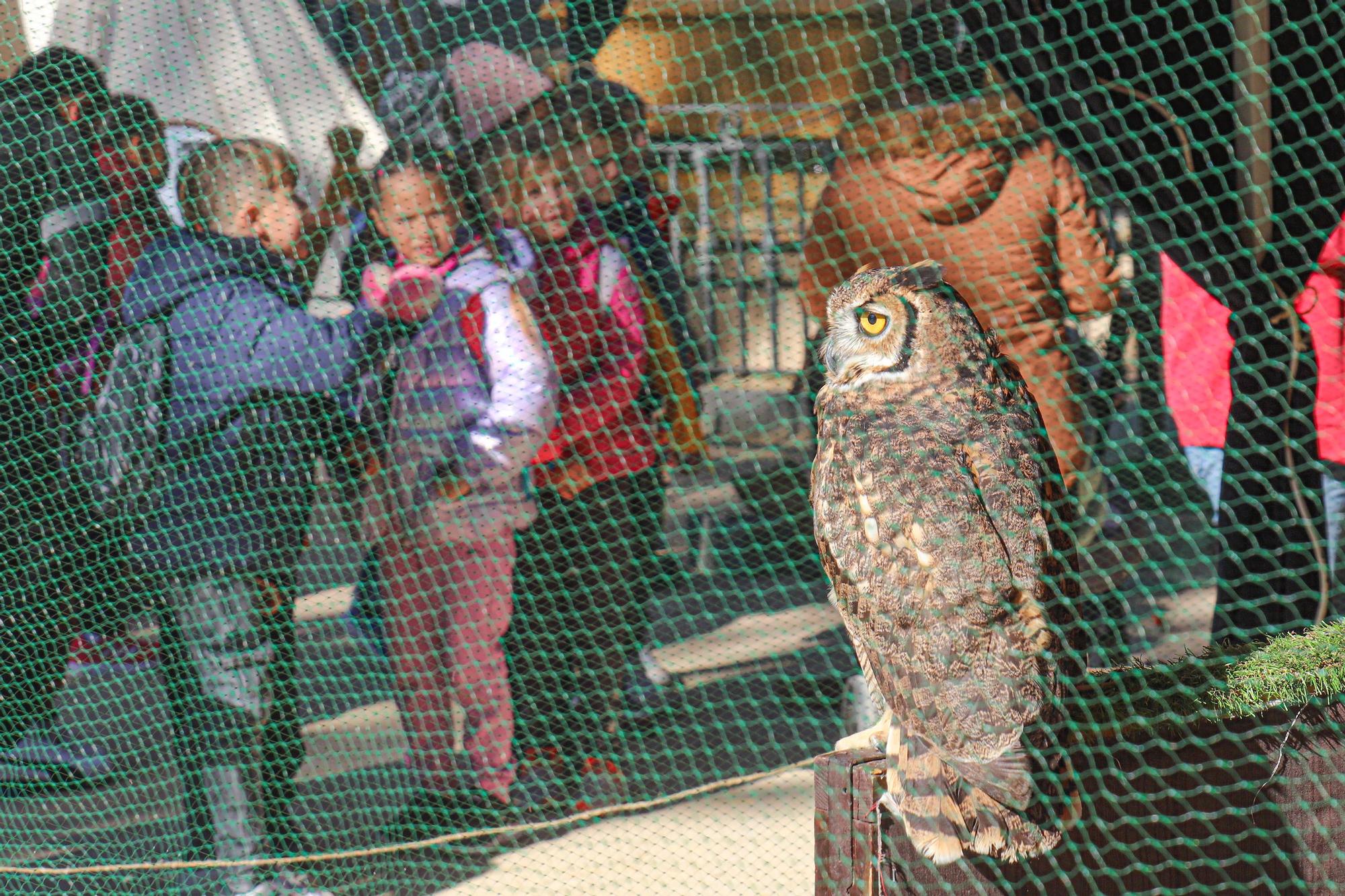 Mercado Medieval Orihuela 2023