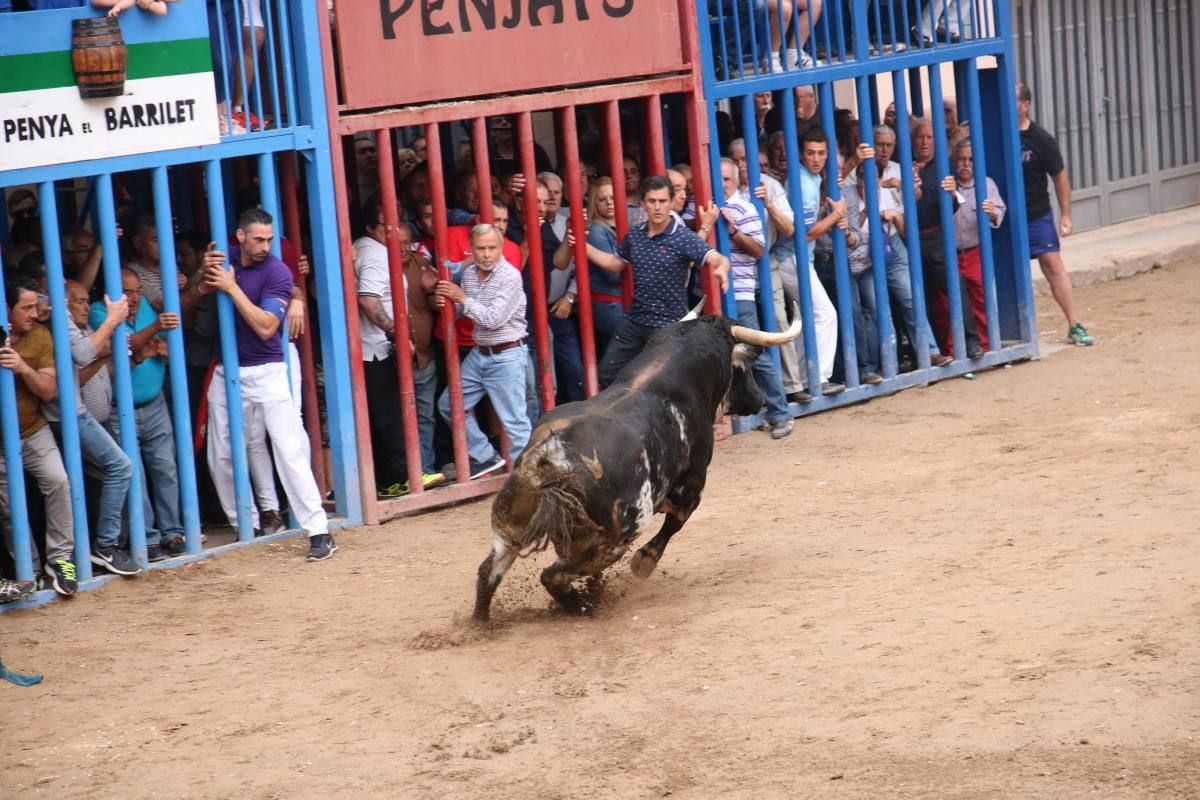 Fiestas patronales de Santa Quitèria de almassora III