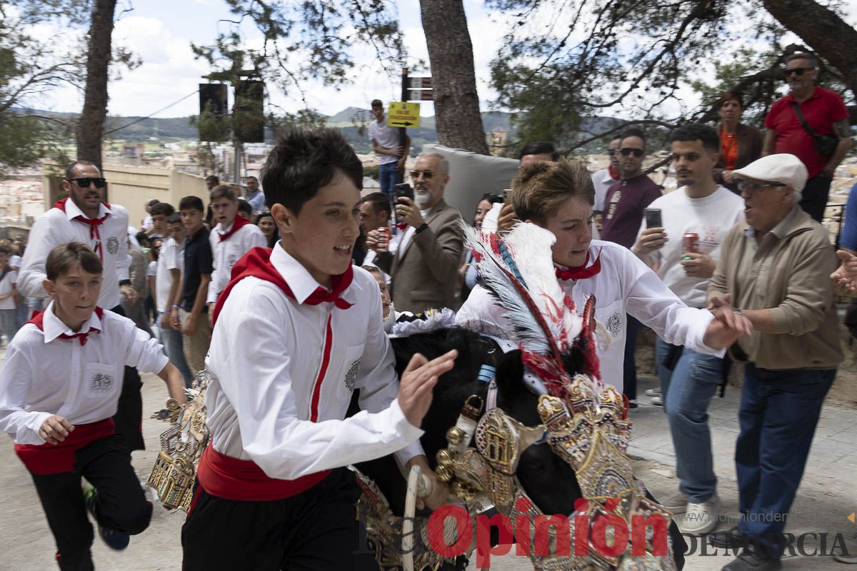 Fiestas de Caravaca | Desfile infantil del Bando de los Caballos del Vino
