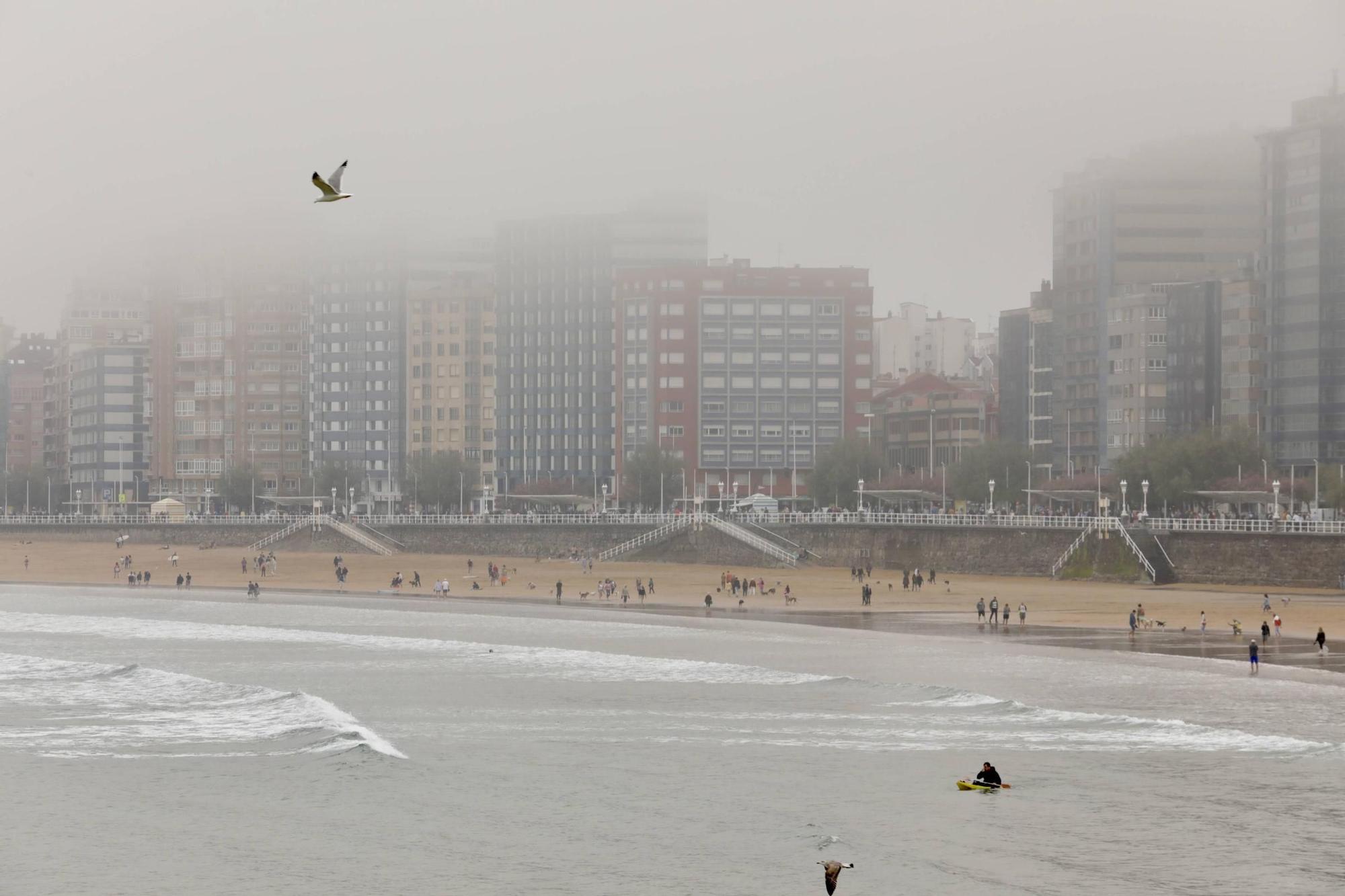 Gijón "desaparece" bajo la bruma (en imágenes)