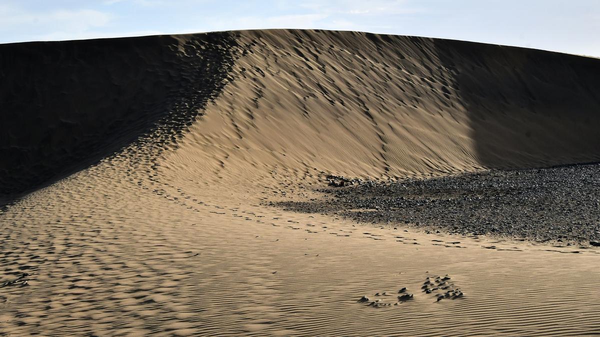 Dunas de Maspalomas.