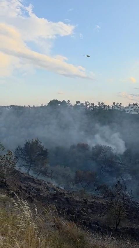 Las llamas del incendio en Orihuela Costa
