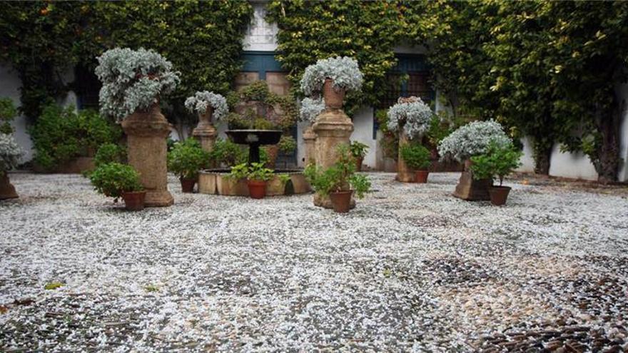 Una pequeña nube de granizo descarga sobre Córdoba