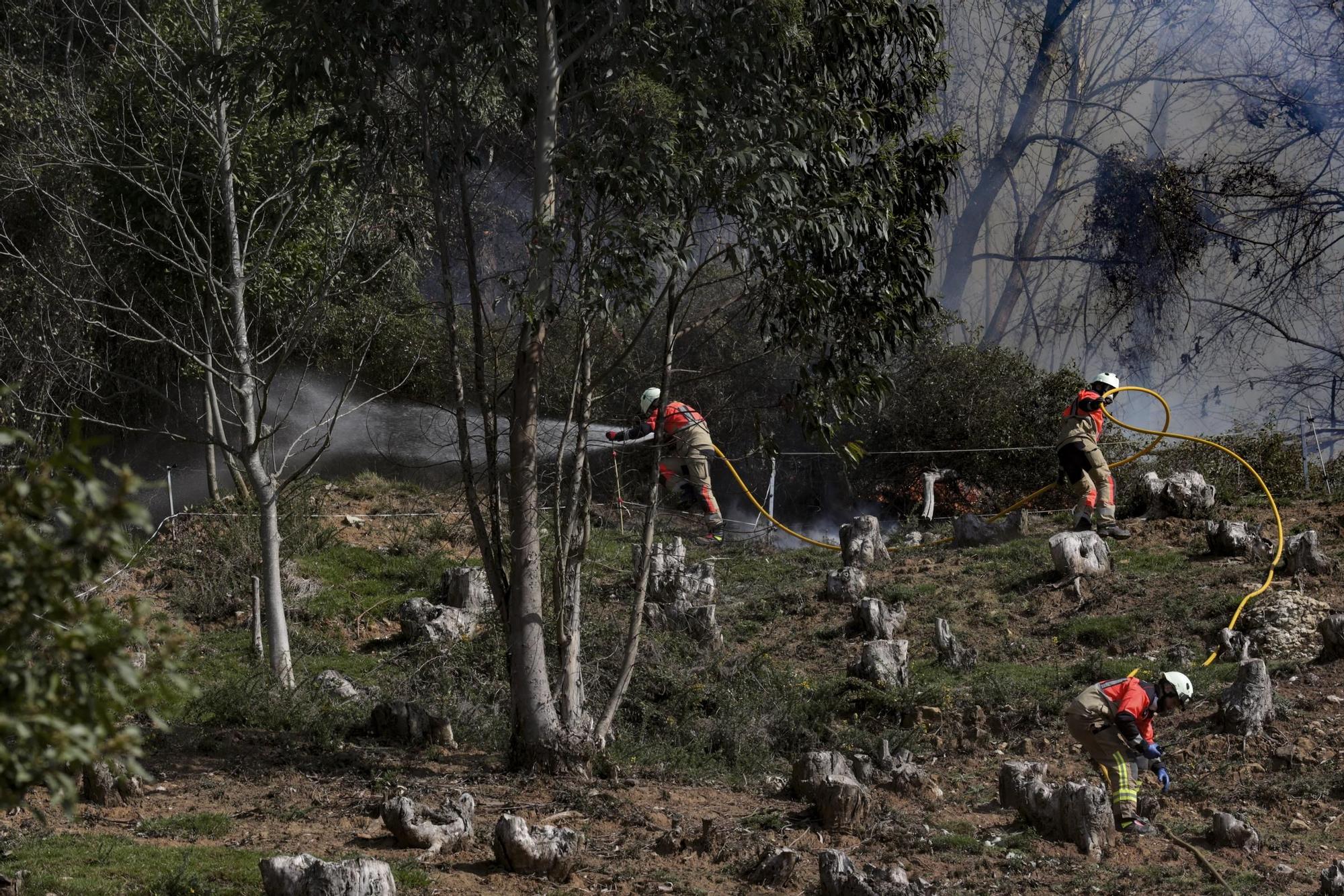 El fuego llega a Oviedo, el monte Naranco en llamas