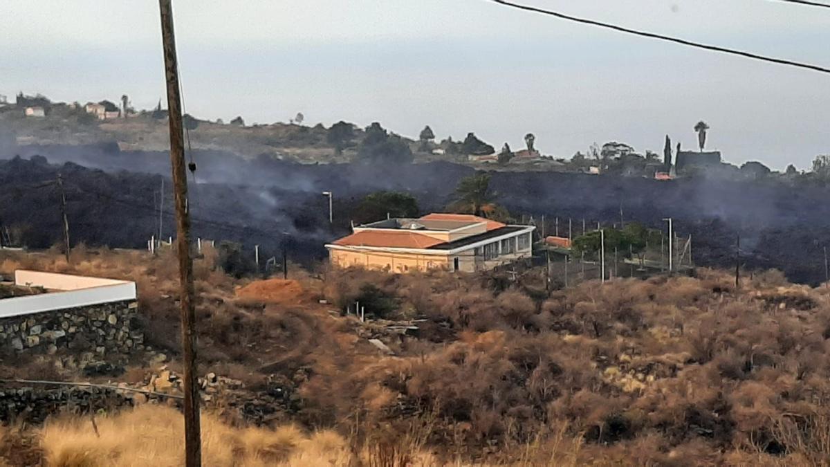 CEIP Los Campitos, cerca del camino El Pastelero.