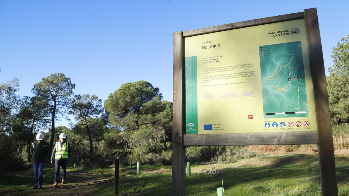 Reforestación de árboles en Los Villares, en imagen de archivo.