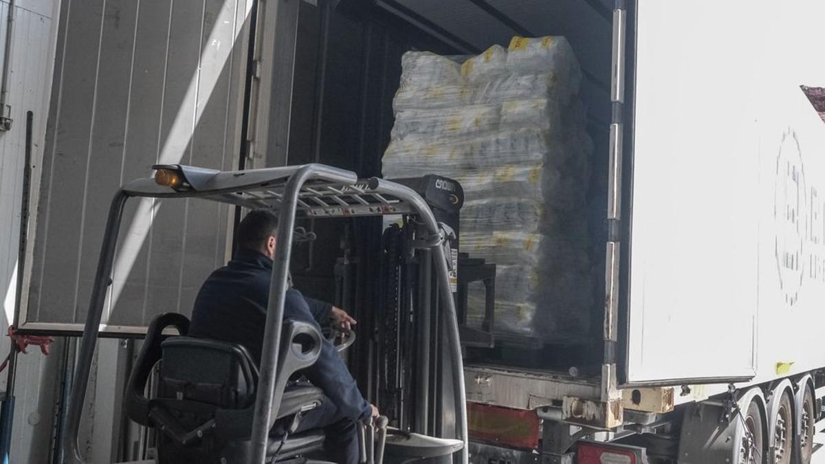 Un operario de Arucansa carga bolsas de hielo en un contenedor con destino a la Península, ayer.