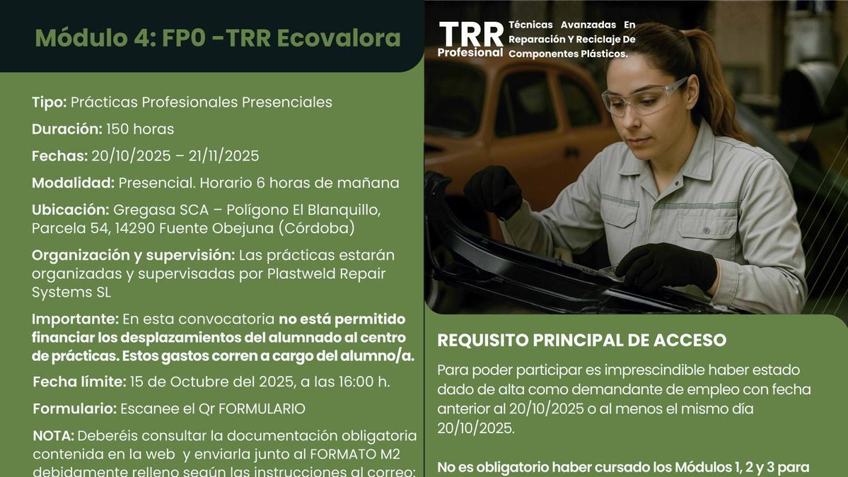 Programa TRR Profesional.