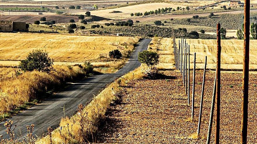 Paisaje rural en la carretera que conduce a la pedanía El Moralejo de Caravaca.