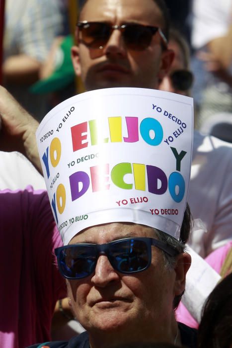 Cientos de alicantinos, en la protesta contra Marzà en Valencia