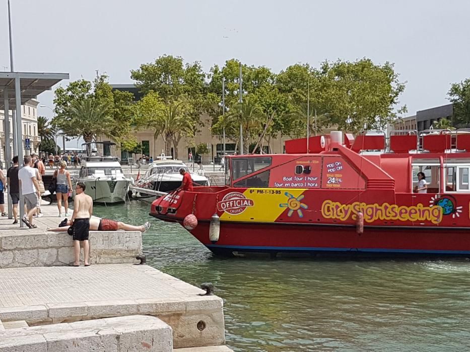 Un turista borracho se desploma en el Moll Vell a plena luz del día