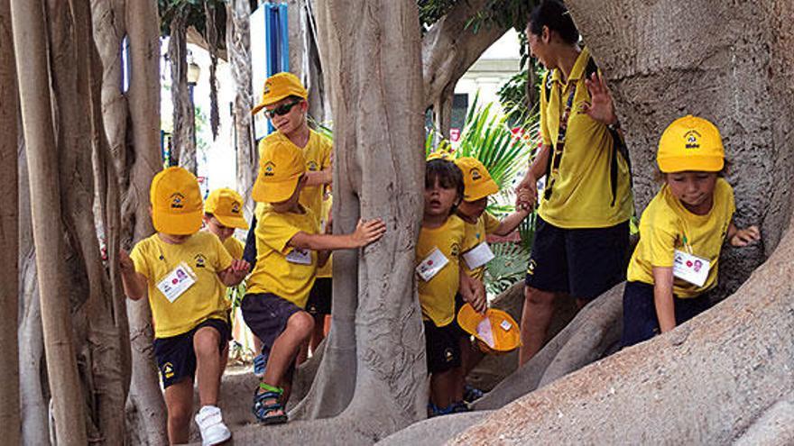 Escuela Infantil Nido es pionera en el desarrollo del concepto de ´escuelas de verano´ en Alicante, desde los años 80.