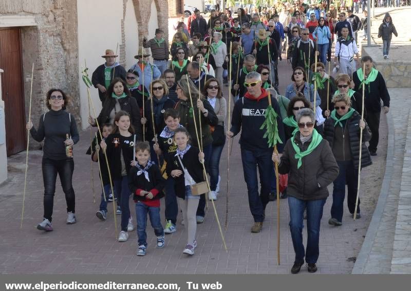 GALERÍA DE FOTOS - Romería Magdalena 2014 (4)