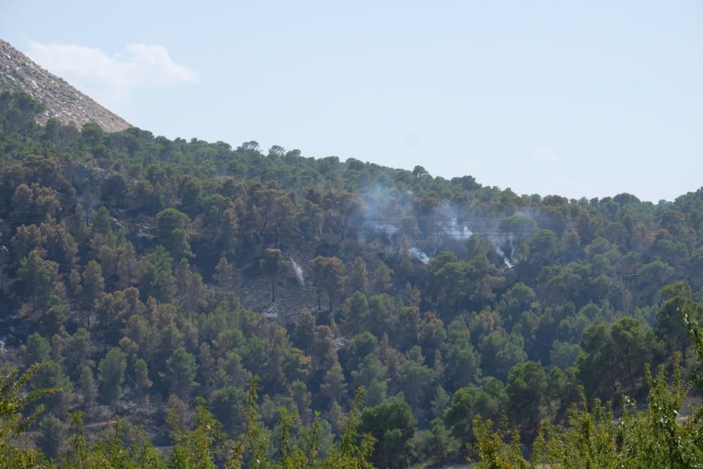 El fuego se inició a última hora de ayer miércoles y ha estado activo toda la noche.